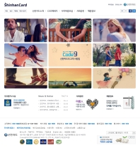 신한카드-회사소개(국문) 인증 화면