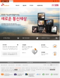 SK브로드밴드 회사소개 국문 인증 화면