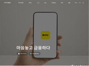 카카오페이					 					 인증 화면