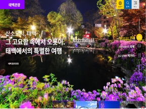 태백관광					 					 인증 화면